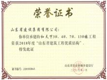 和天下3#、4#、7#、13#樓獲2018年度“山東省建筑工程優(yōu)質(zhì)結(jié)構(gòu)”